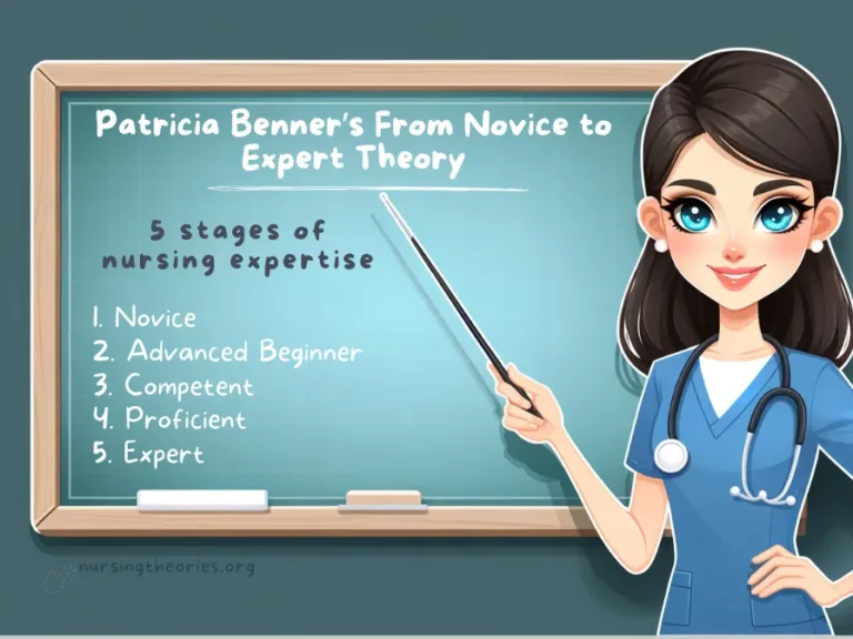 patricia benners from novice to expert theory nursing thories